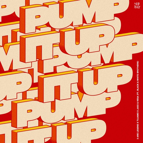 Pump It Up (feat. The Black and White Brothers) - Single album cover