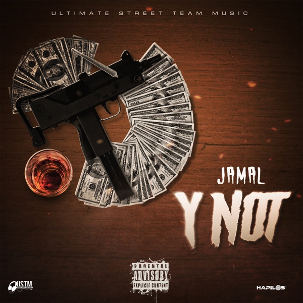 Y Not - Single album cover