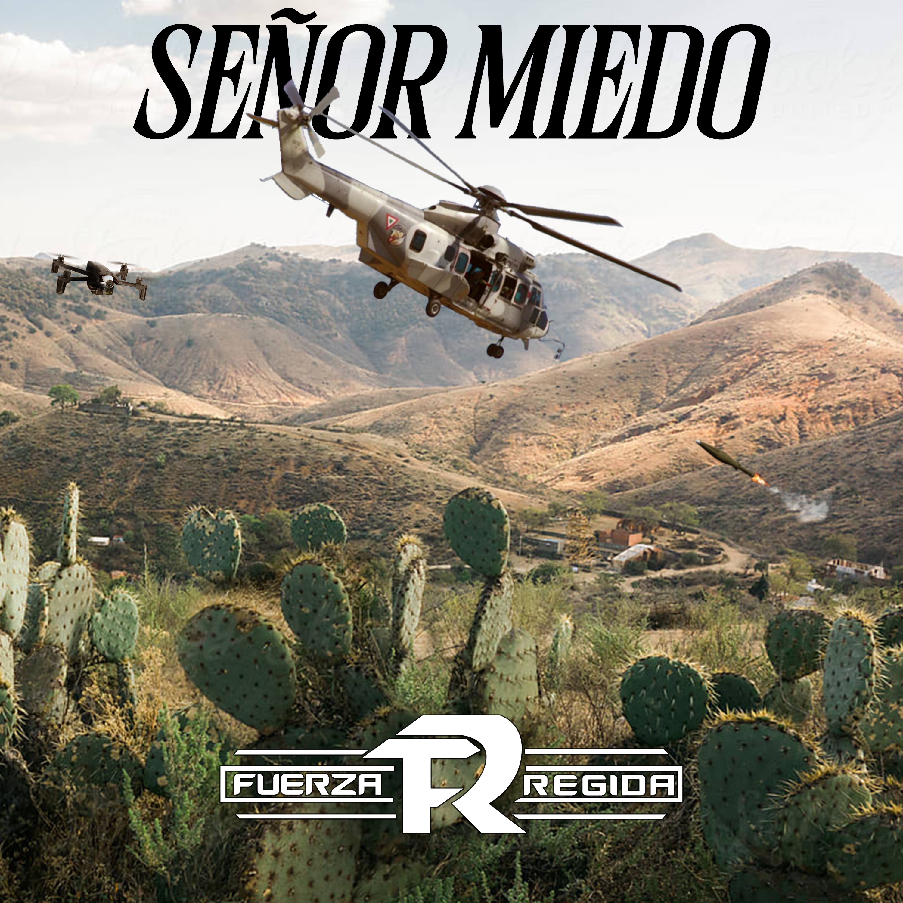 Señor Miedo - Single album cover