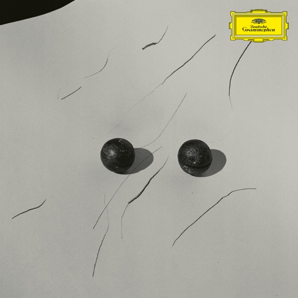 Rose In Abstract (Portico Quartet Remix) - Single album cover