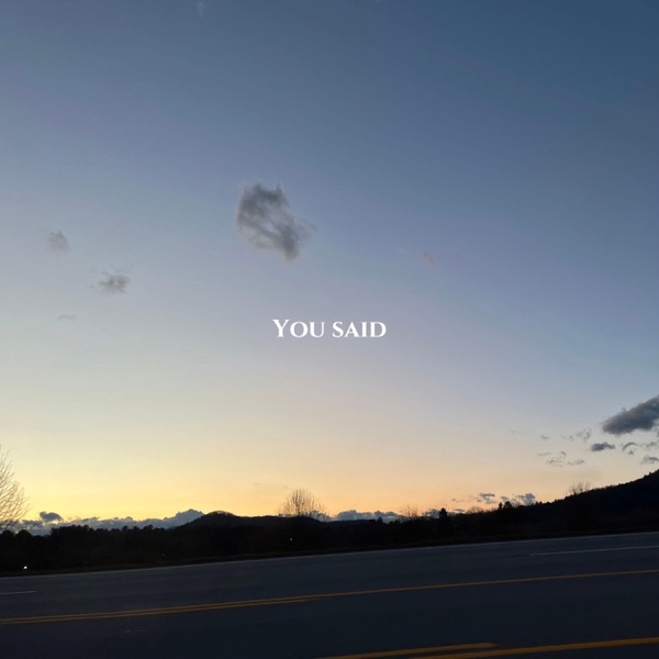 You Said - Single album cover