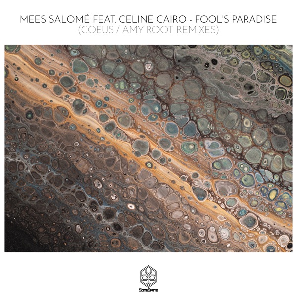 Fool's Paradise (feat. Celine Cairo) - Single album cover