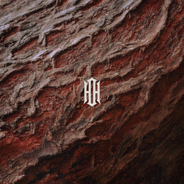 Idlewaves - Single album cover