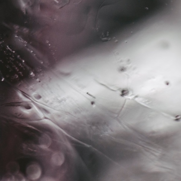 Slow Morning album cover