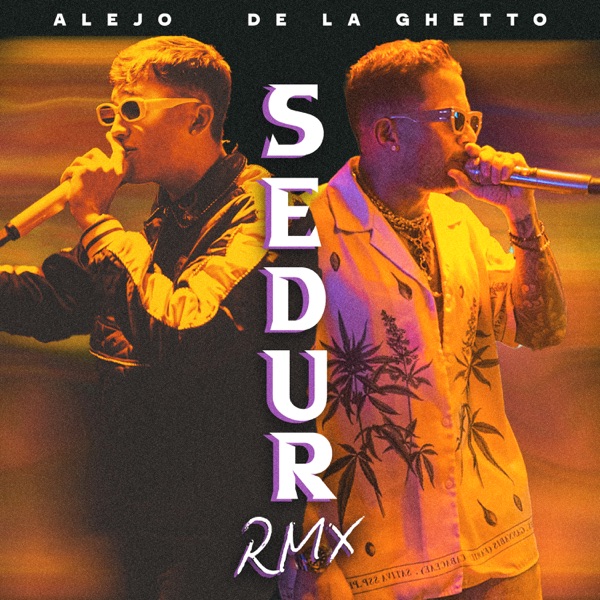 Se Enamoró de un Reggaetonero - Single album cover