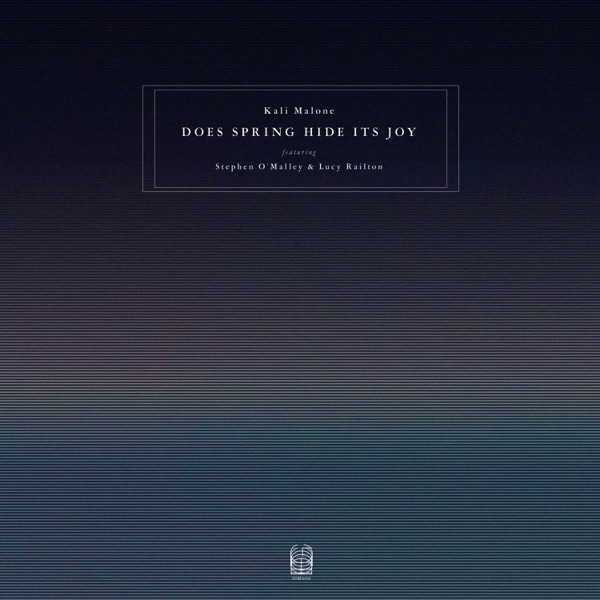 Does Spring Hide Its Joy (feat. Stephen O'Malley & Lucy Railton) album cover