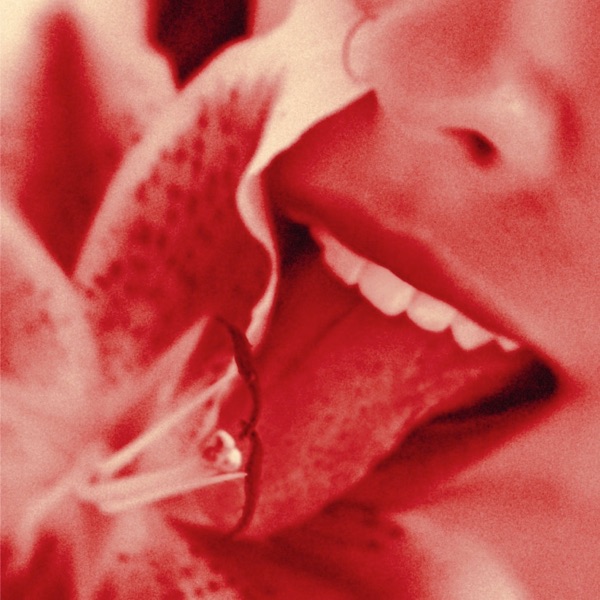 You're Not the Only One - Single album cover