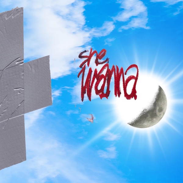 She Wanna (version) - Single album cover