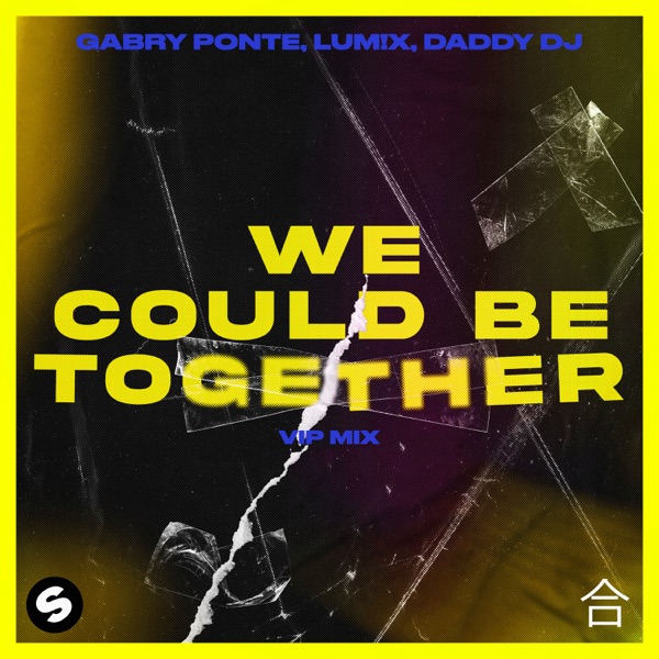 We Could Be Together (VIP Mix) - Single album cover