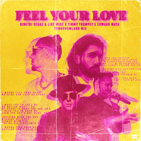 Feel Your Love (Festival Remix) - Single album cover