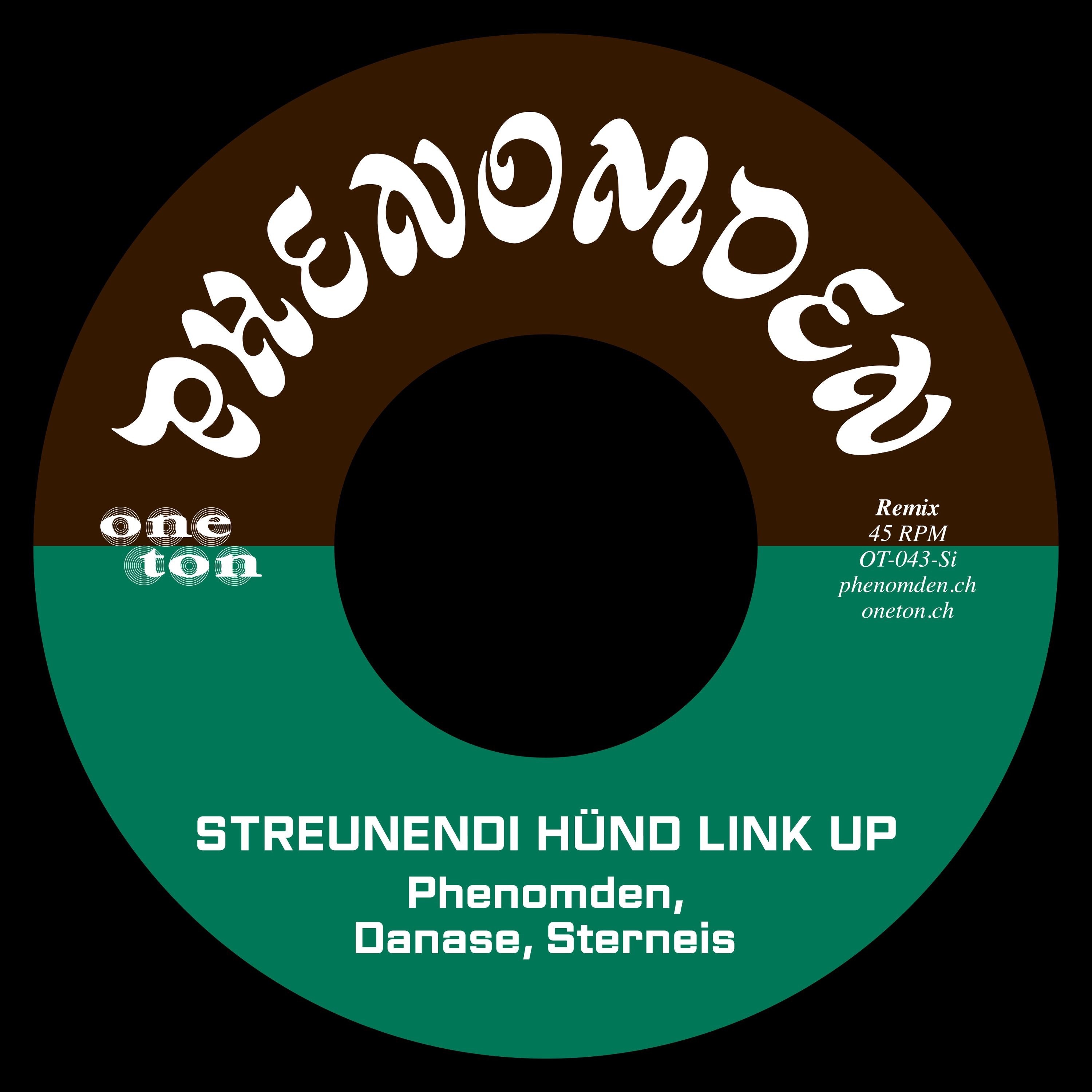 Streunendi Hünd Link up (Remixes) - Single album cover