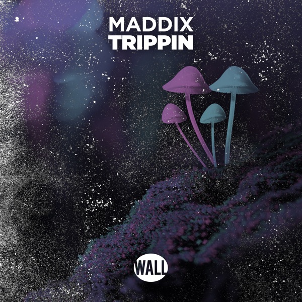Trippin - Single album cover