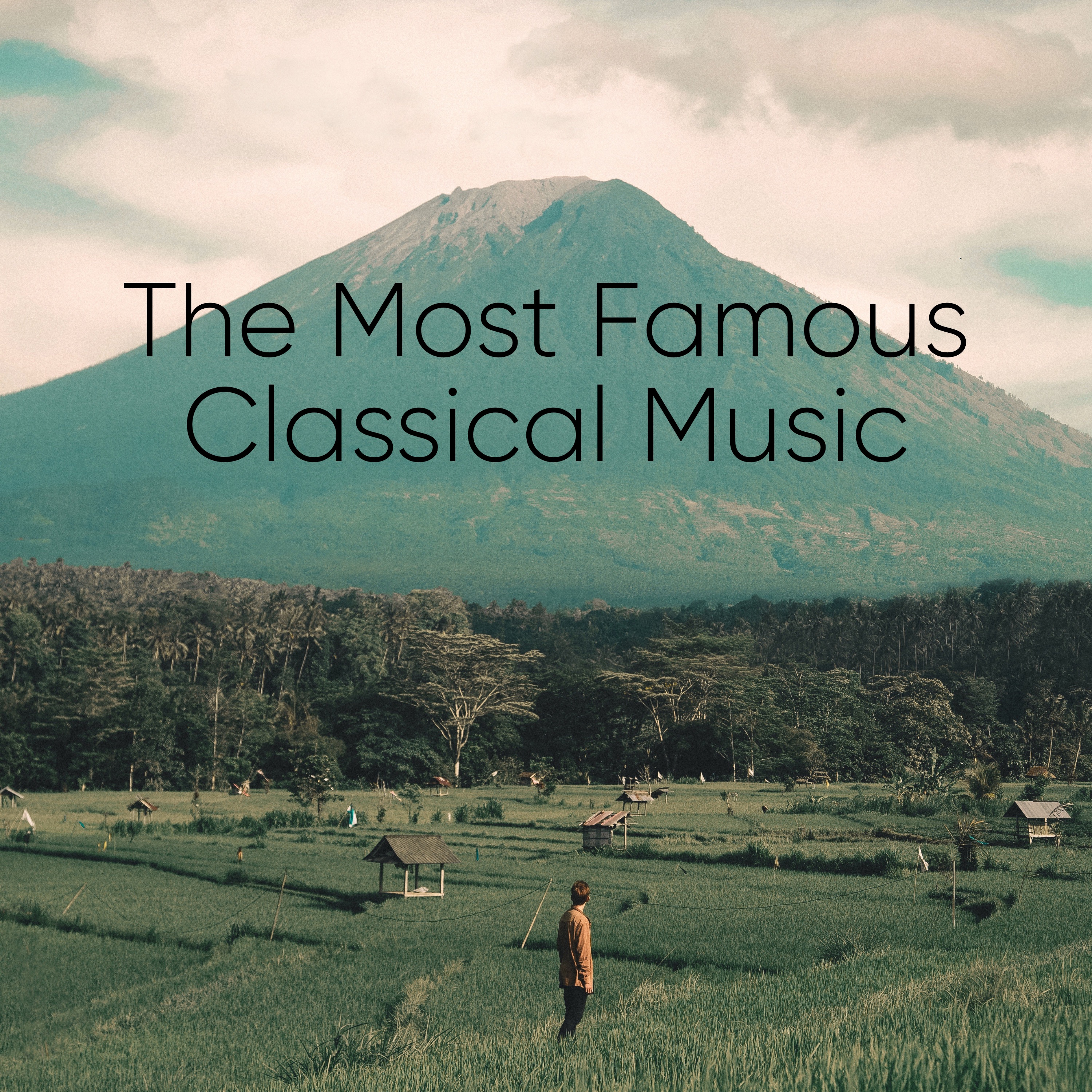 The Most Famous Classical Music for Meditation album cover