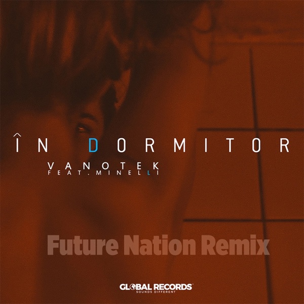 In Dormitor (feat. Minelli) [Future Nation Remix] - Single album cover