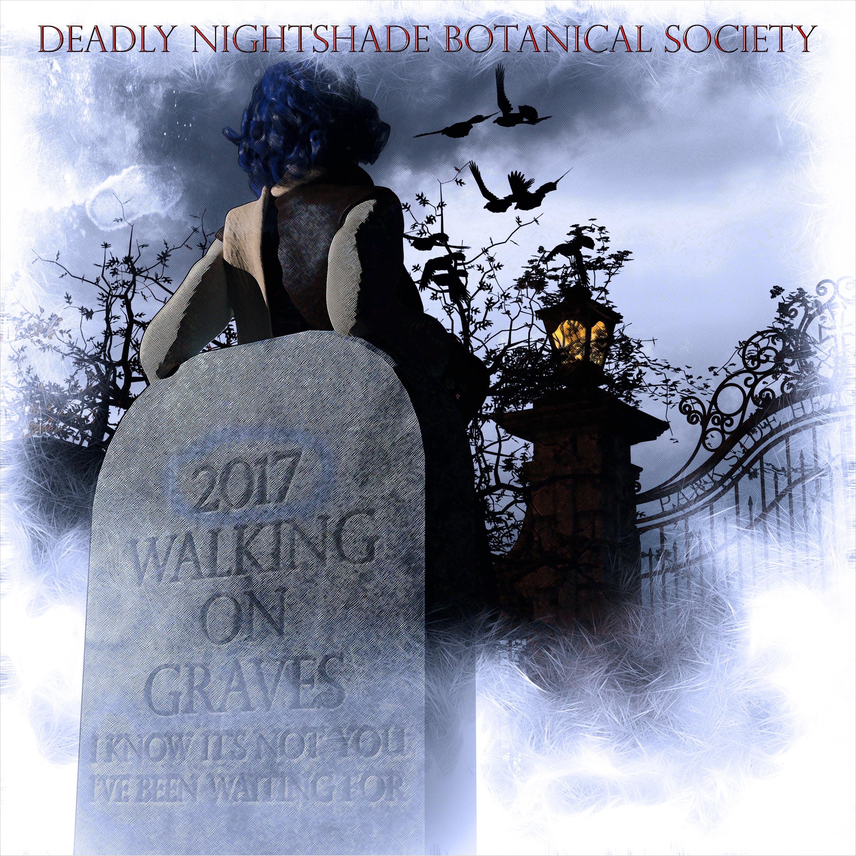 Walking on Graves album cover