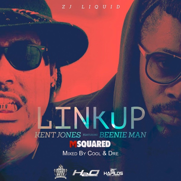 Link Up (feat. Kent Jones & Beenie Man) - Single album cover