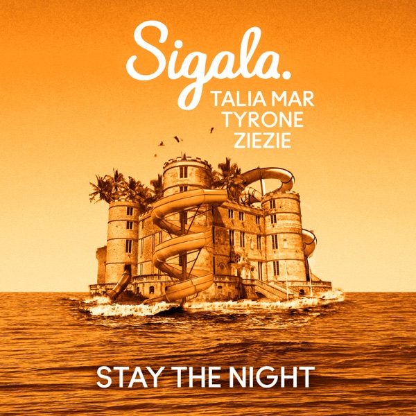 Stay The Night (feat. Tyrone) - Single album cover