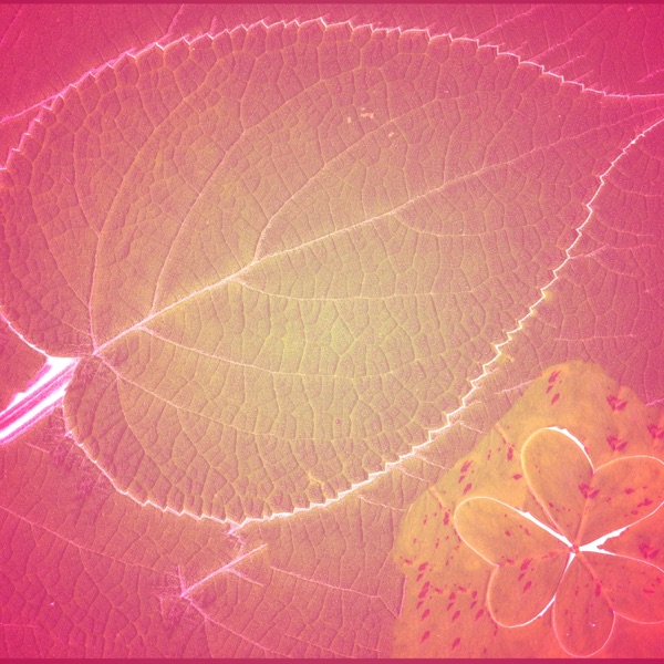 Seek the World - Single album cover