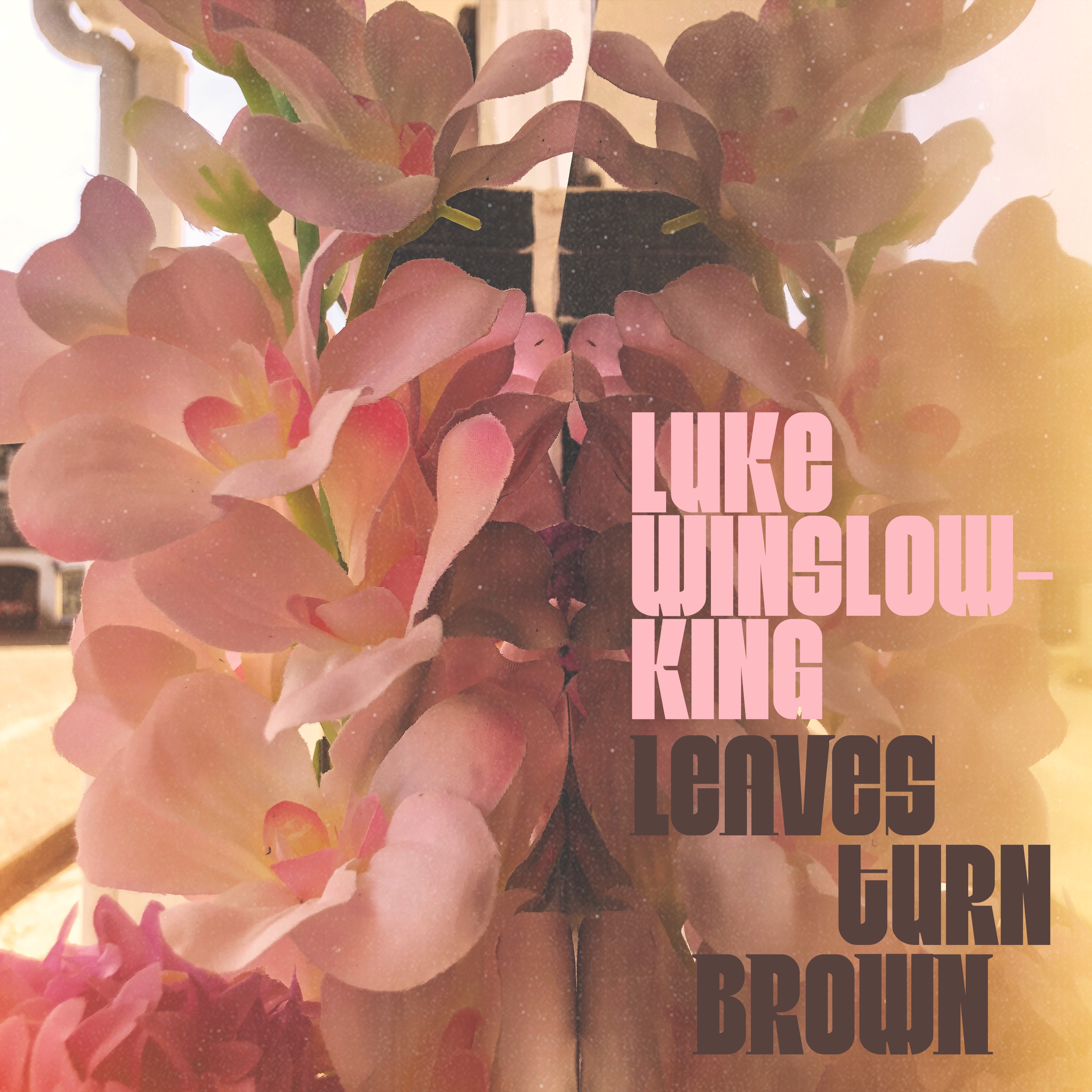 Leaves Turn Brown - Single album cover