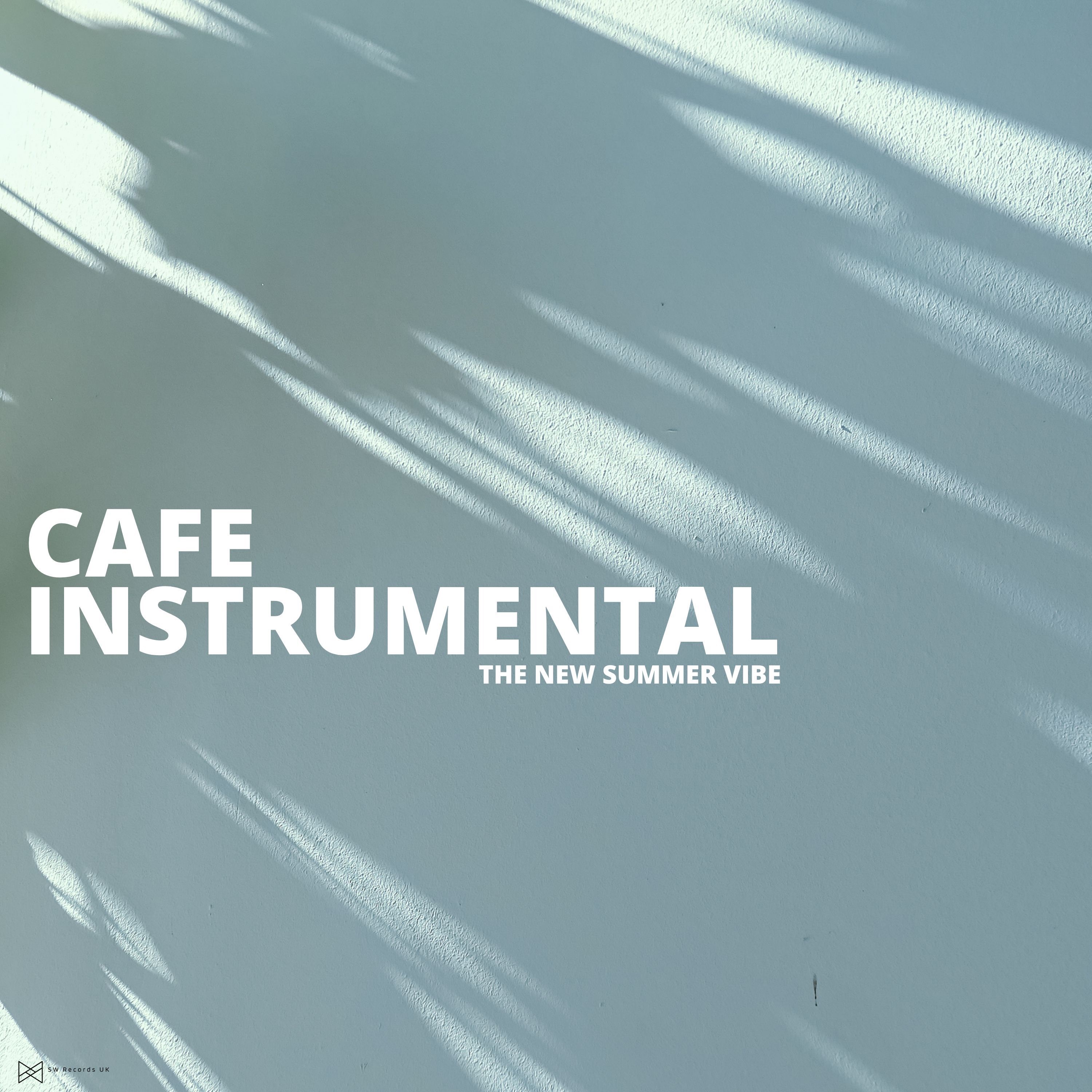 The New Summer Vibe album cover