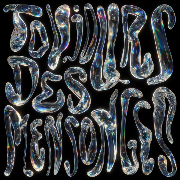 Toujours des mensonges (feat. Vendredi sur Mer) - Single album cover