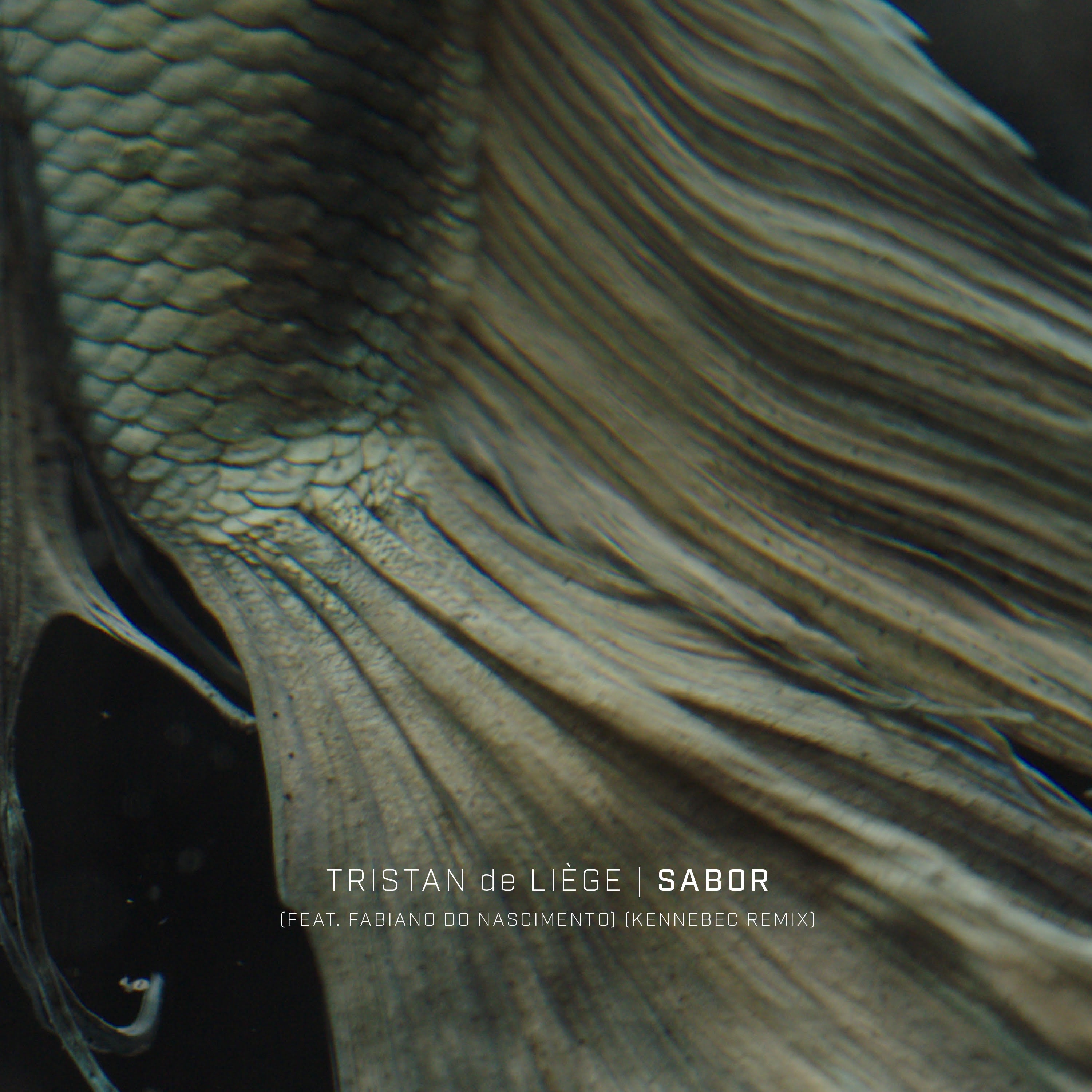 Sabor (feat. Fabiano Do Nascimento) [Kennebec Remix] - Single album cover