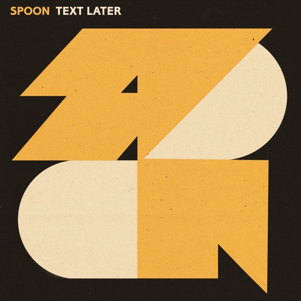 Text Later - Single album cover