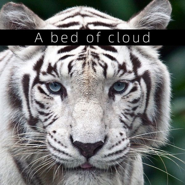 A bed of cloud - EP album cover