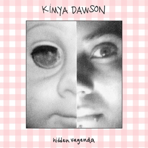 Hidden Vagenda album cover