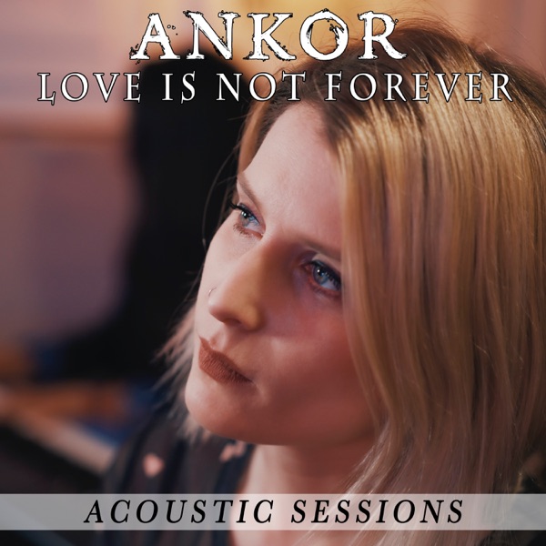 Love Is Not Forever - Single album cover