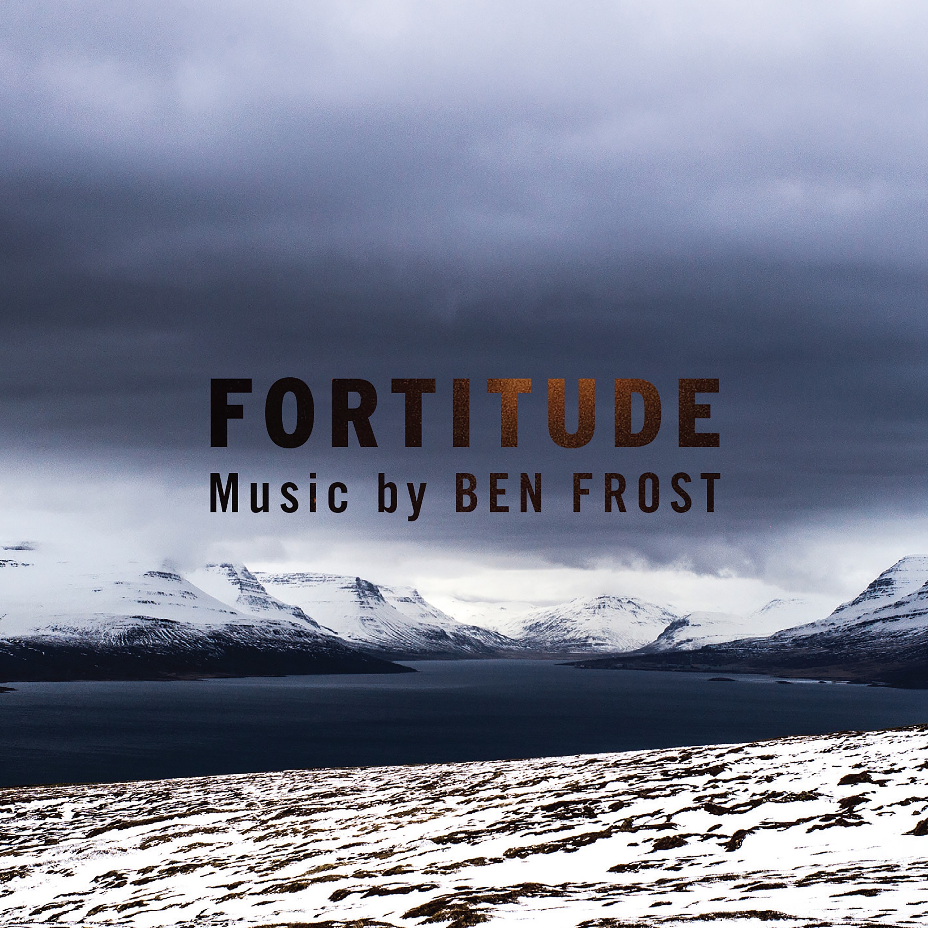 Music From Fortitude album cover