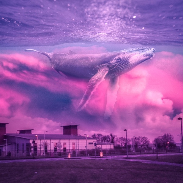 Grab the Aesthetic by its Neck and Ring it Until it's Dead album cover