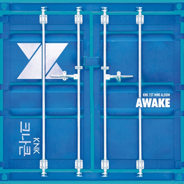 Awake album cover