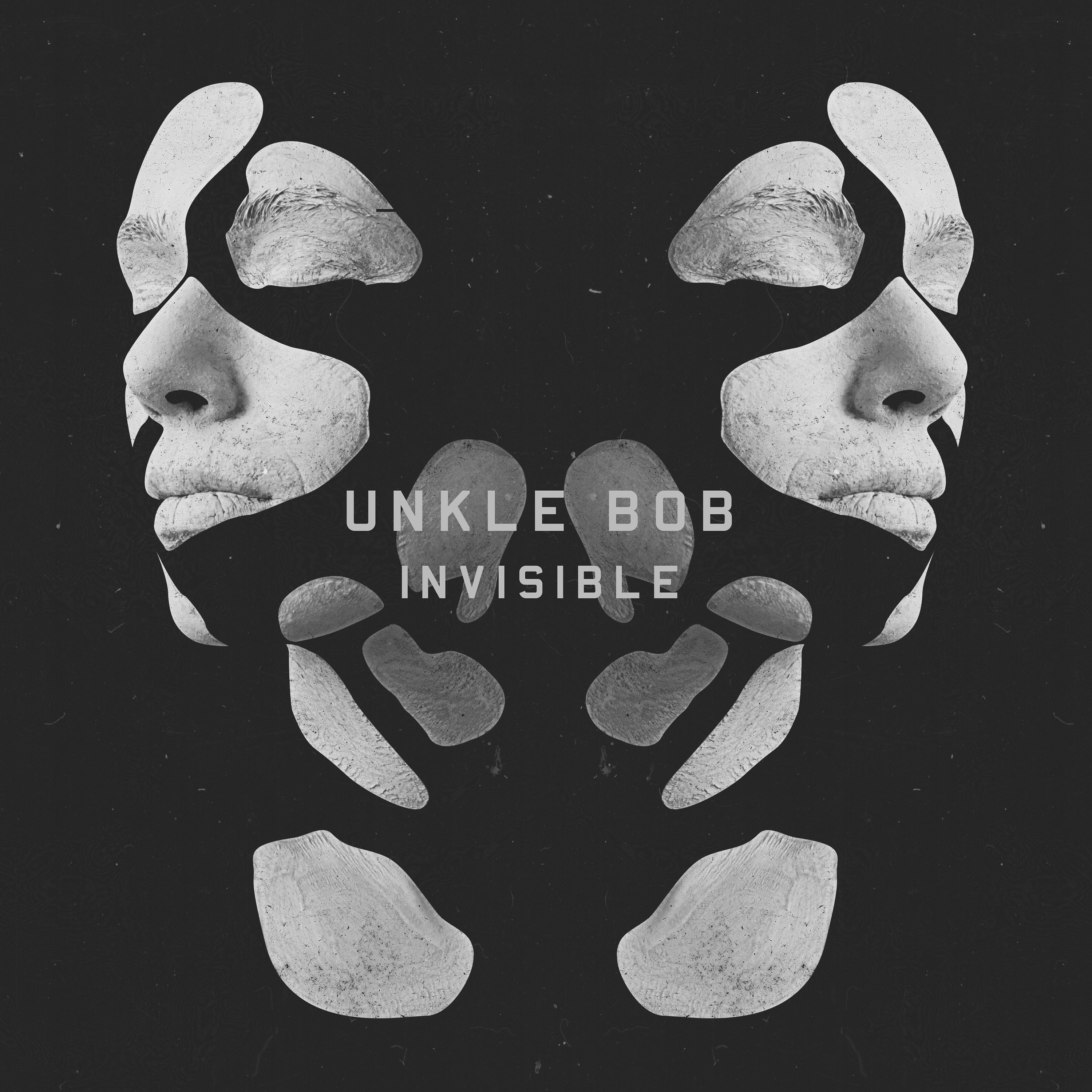 Invisible - Single album cover