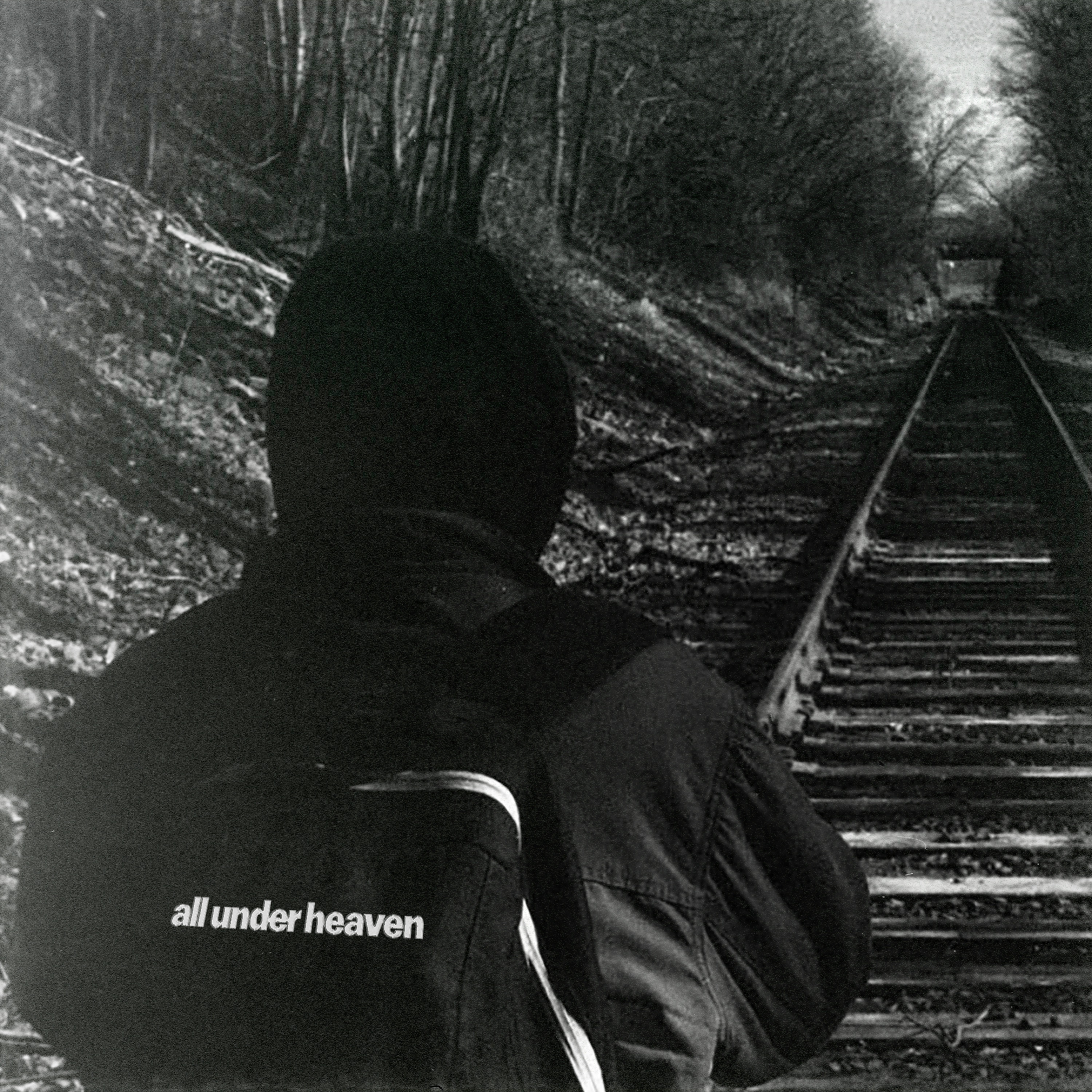 Don't Suffer Alone / Alley Cat - Single album cover