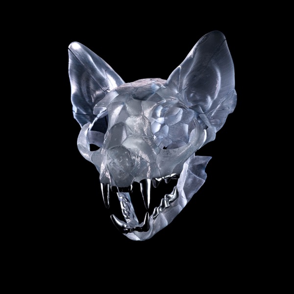 Thin Glass - Single album cover