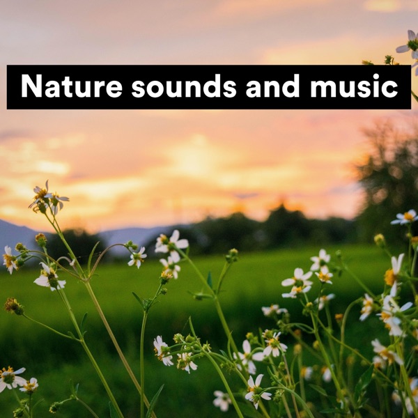 Nature Sounds and Music album cover