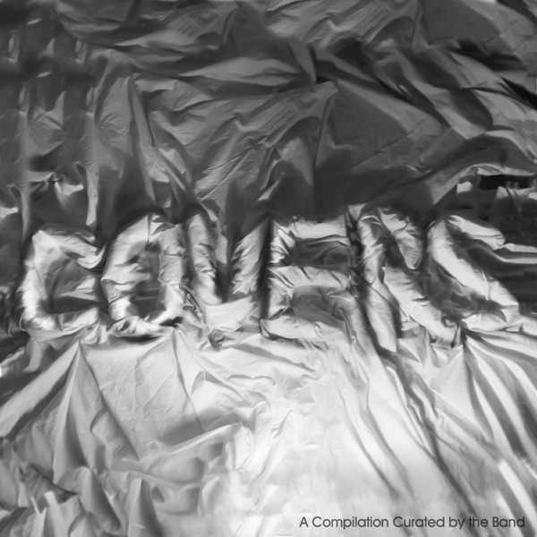 TRAVIS COVERS (A Compilation Curated by the Band) album cover