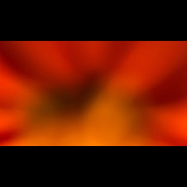 Music For Plants (V & VI) album cover