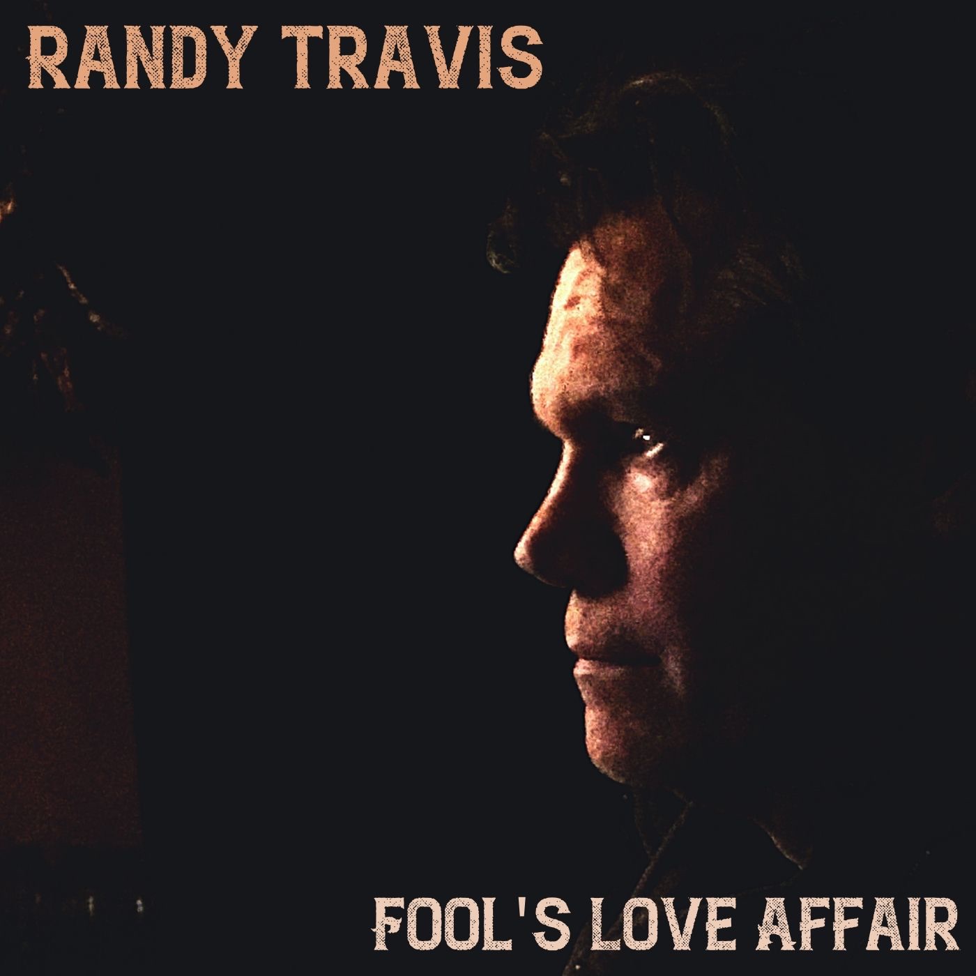 Fool's Love Affair - Single album cover