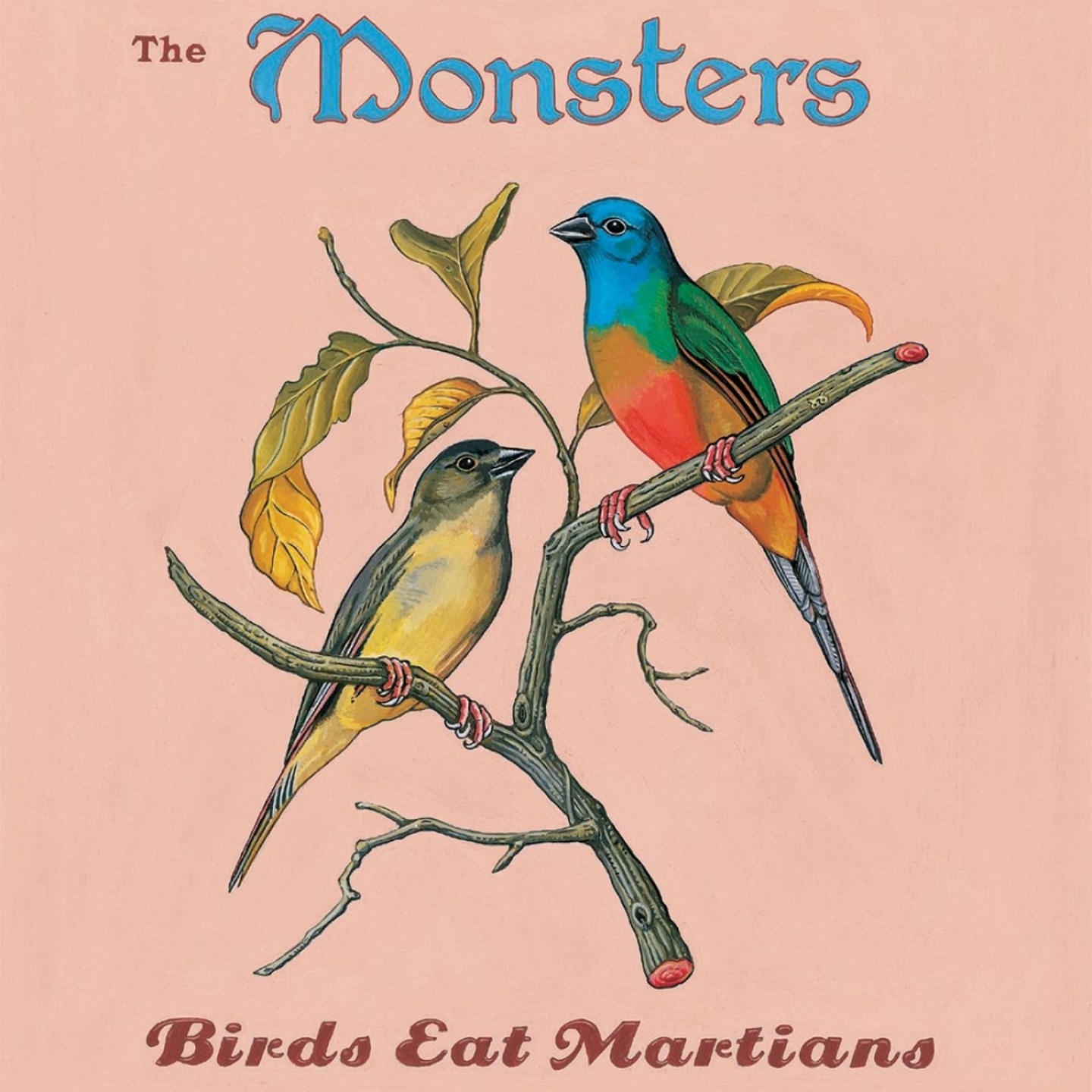 Birds Eat Martians album cover