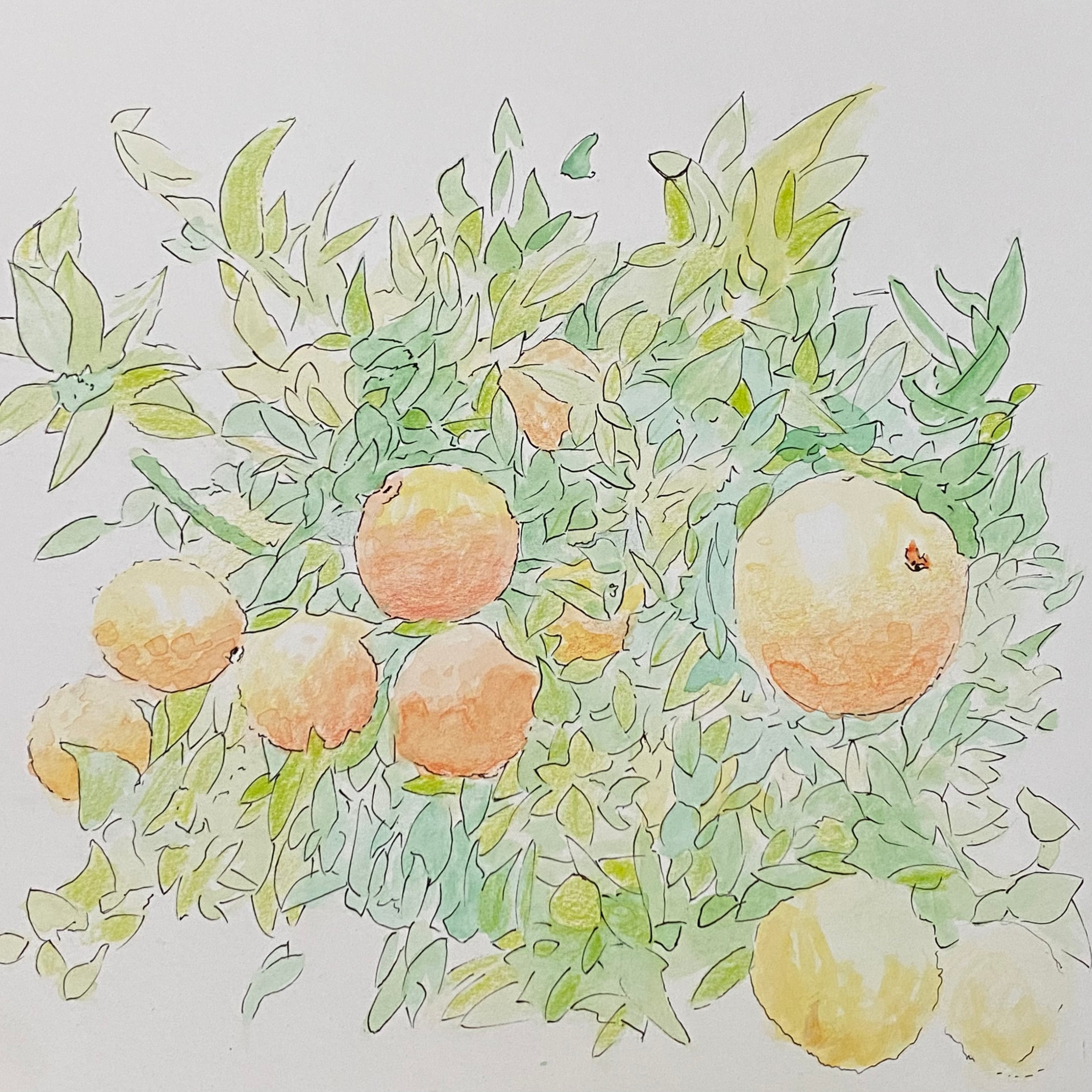 Face First In the Dirt - Single album cover