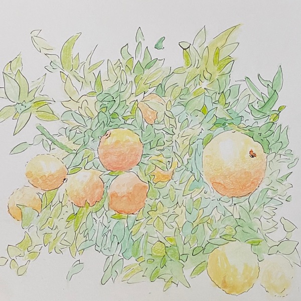 Face First In the Dirt - Single album cover