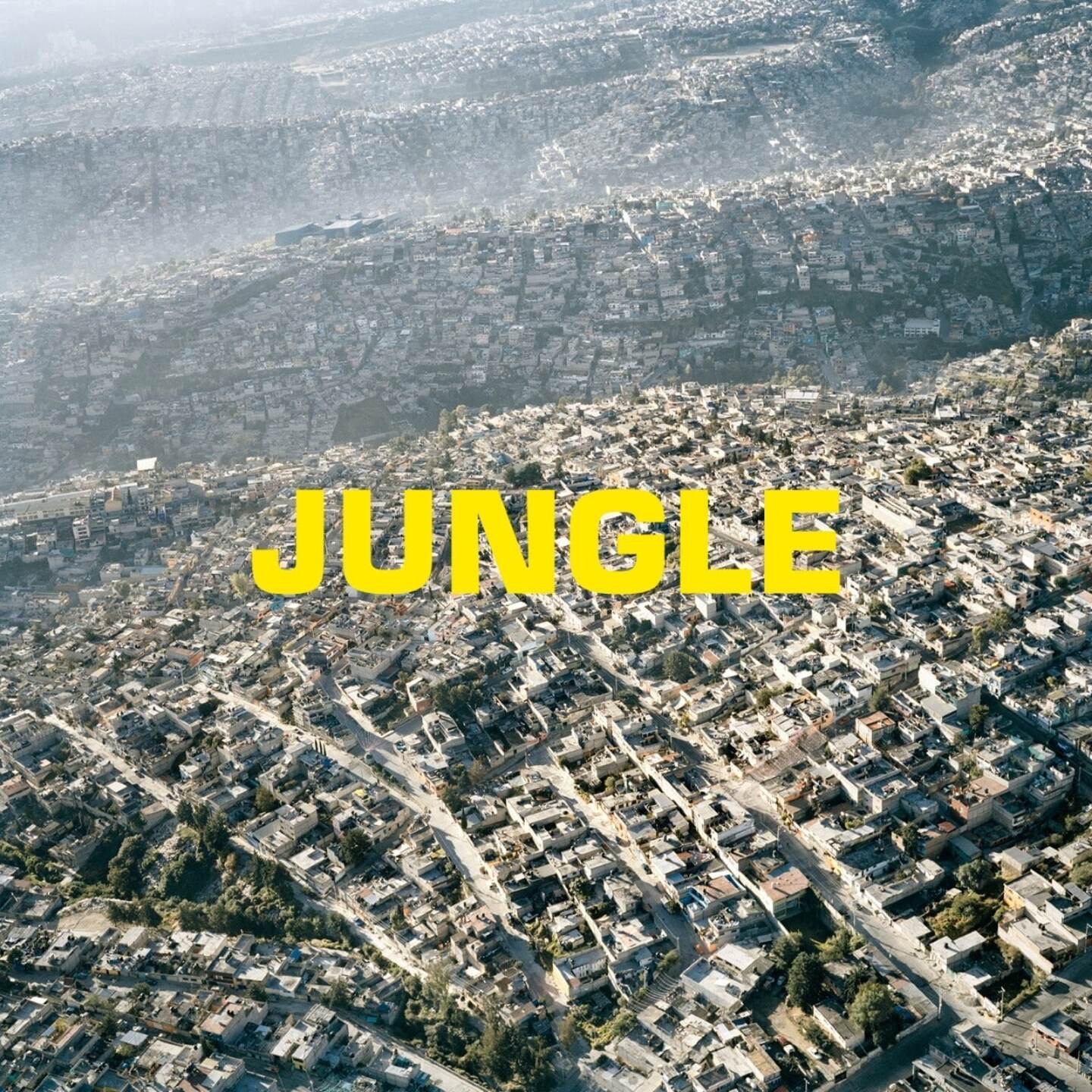 JUNGLE album cover