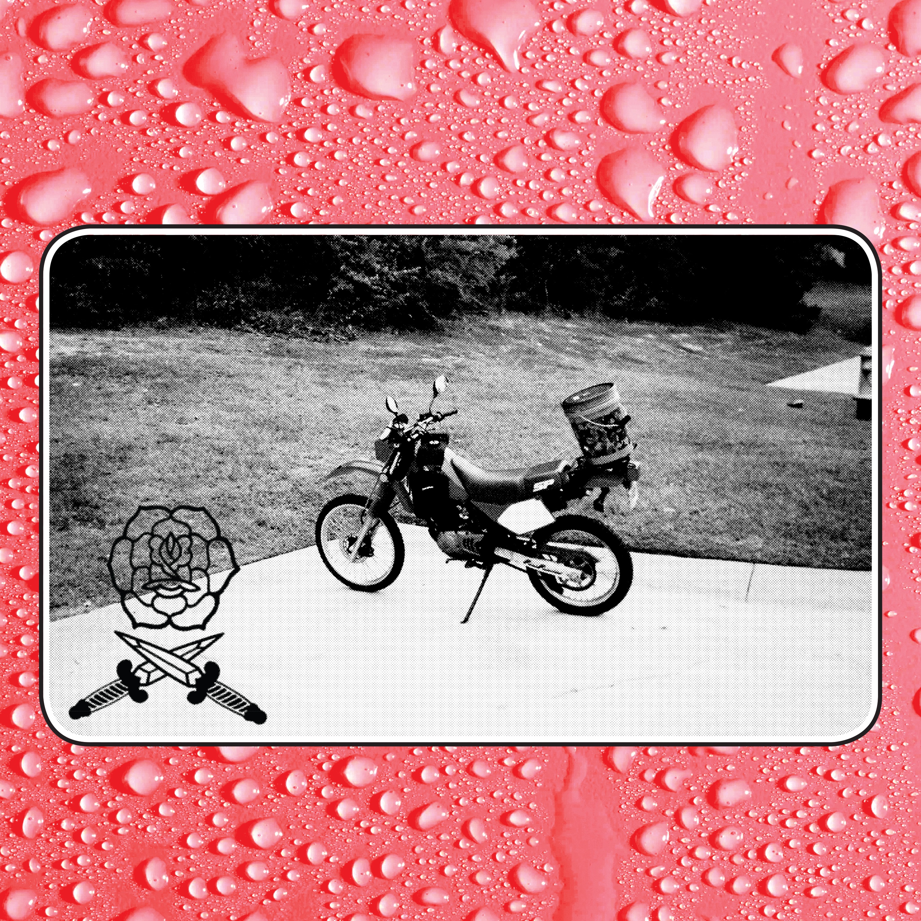 Say I Won't album cover