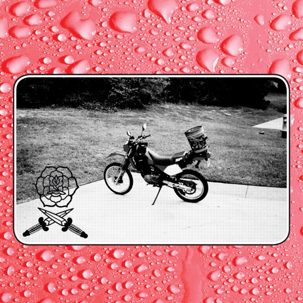 Say I Won't album cover