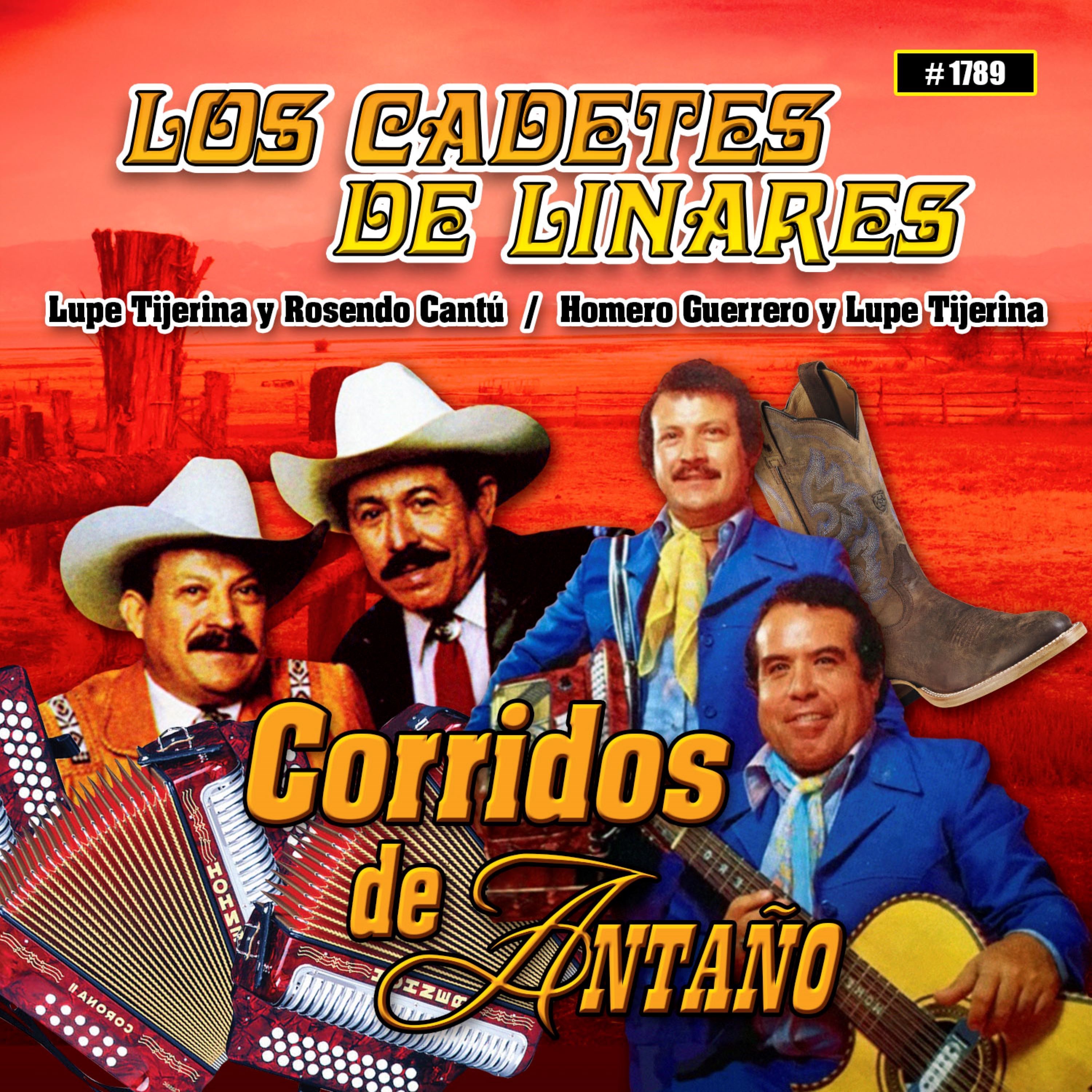 Corridos De Antaño album cover