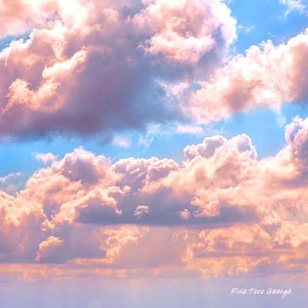 Rise - Single album cover