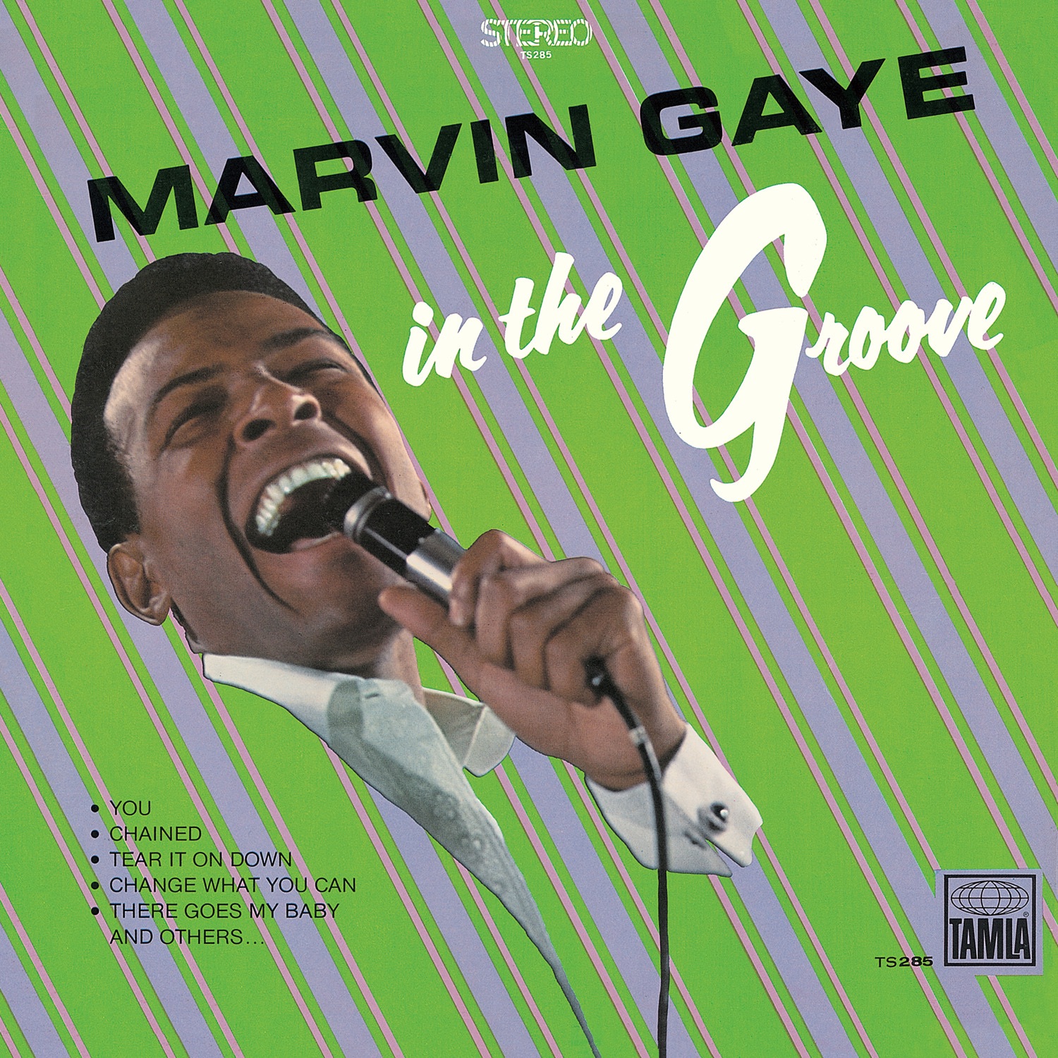 In the Groove album cover