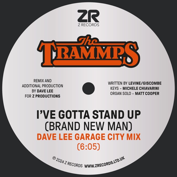 I've Gotta Stand up (Brand New Man) [Dave Lee Garage City Mix] - Single album cover